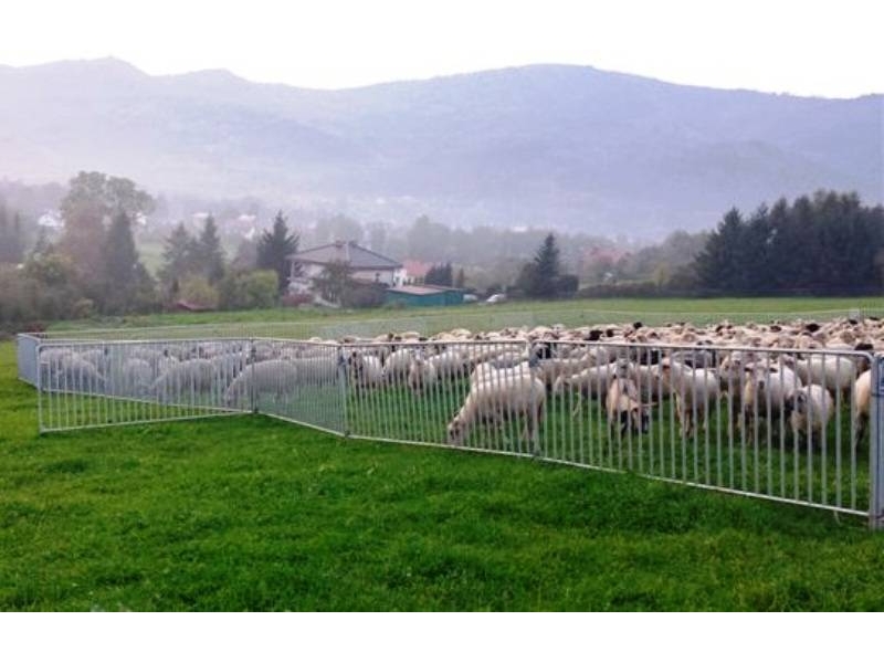 Panele ogrodzeniowe dla koz i owiec - 64_1.jpg